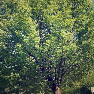 Hello 👋🏼 just telling you a little about myself